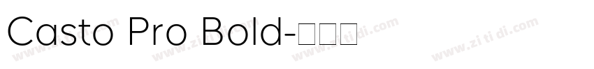 Casto Pro Bold字体转换